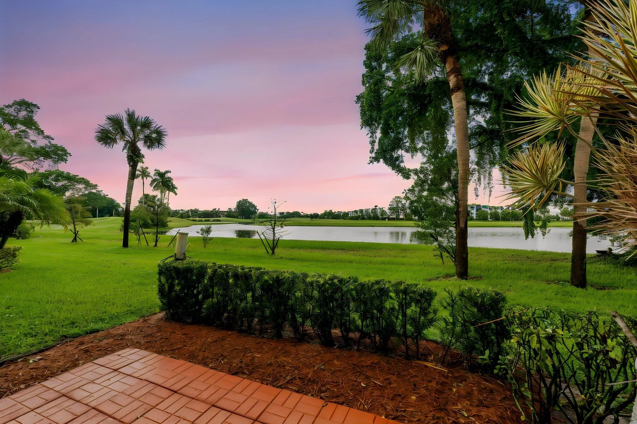 Pond View