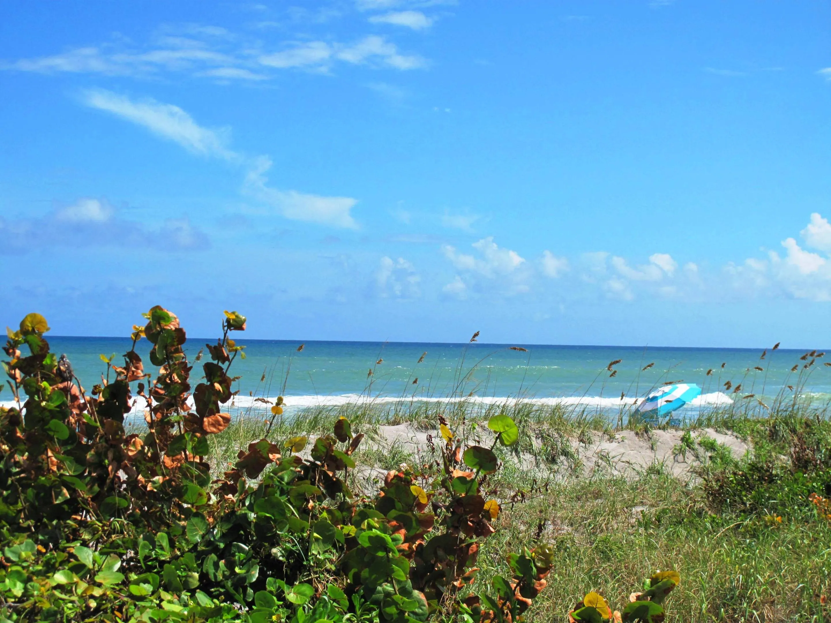 Goregous Delray Beach (3)