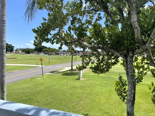 Golf Course view from front window
