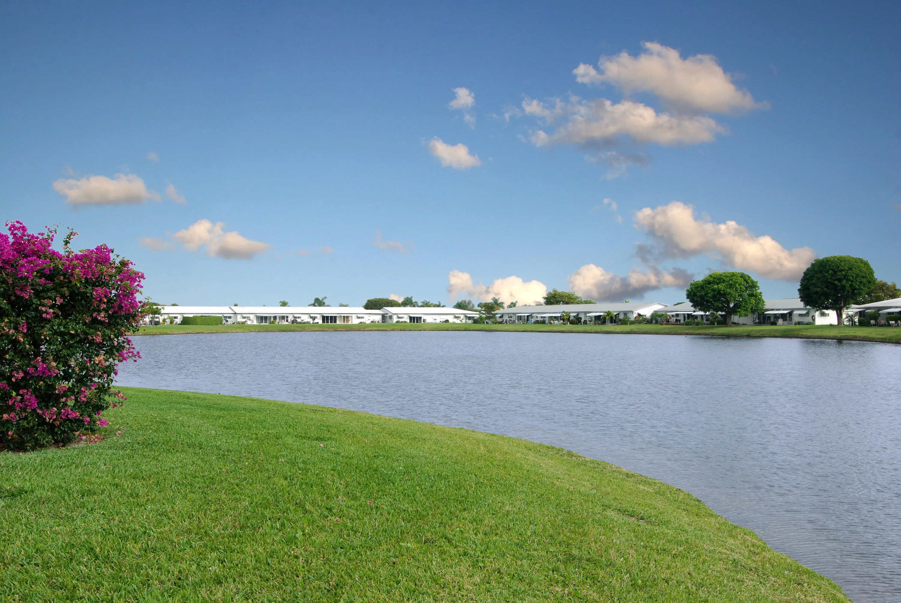 lake view1