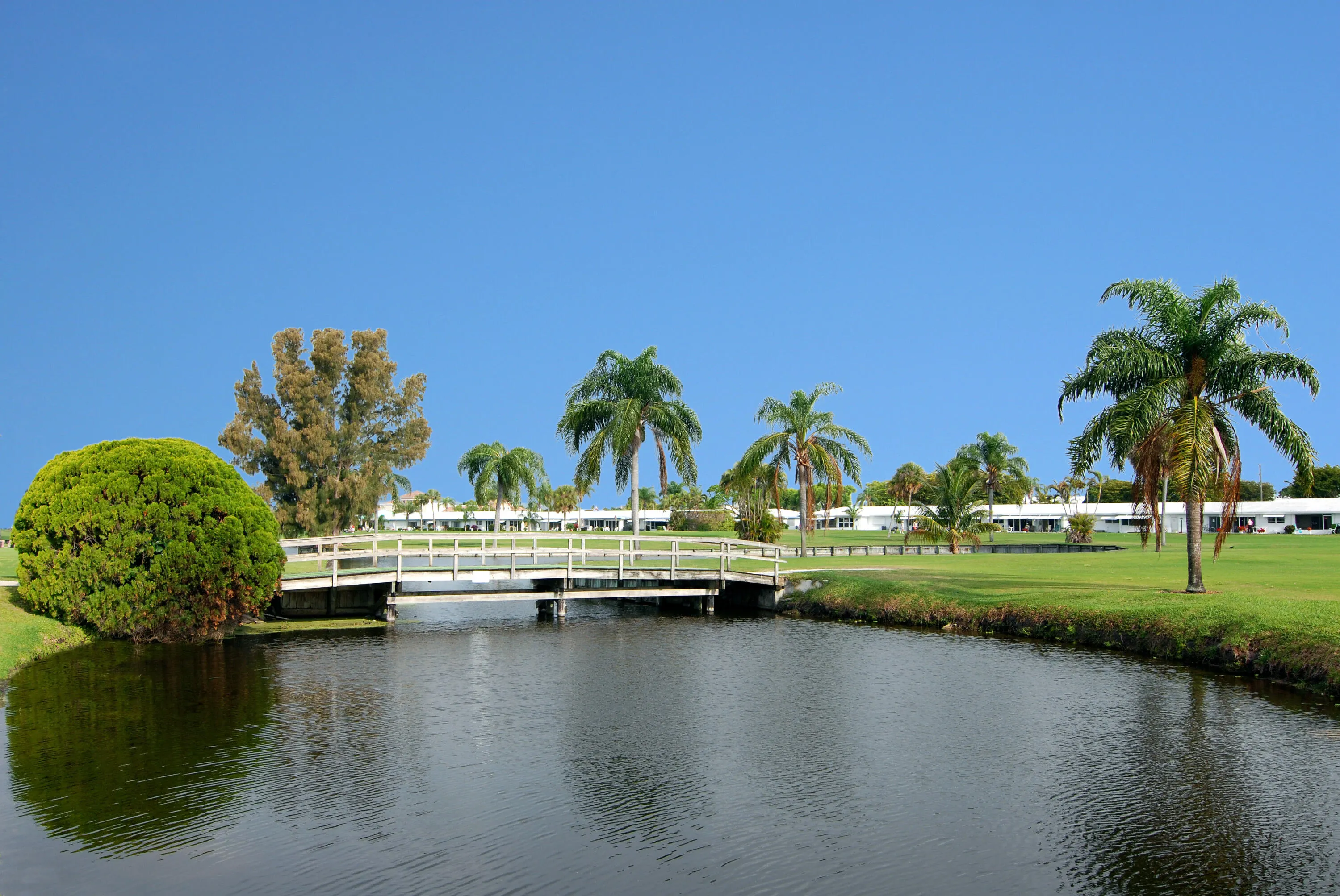 Views of the golf course