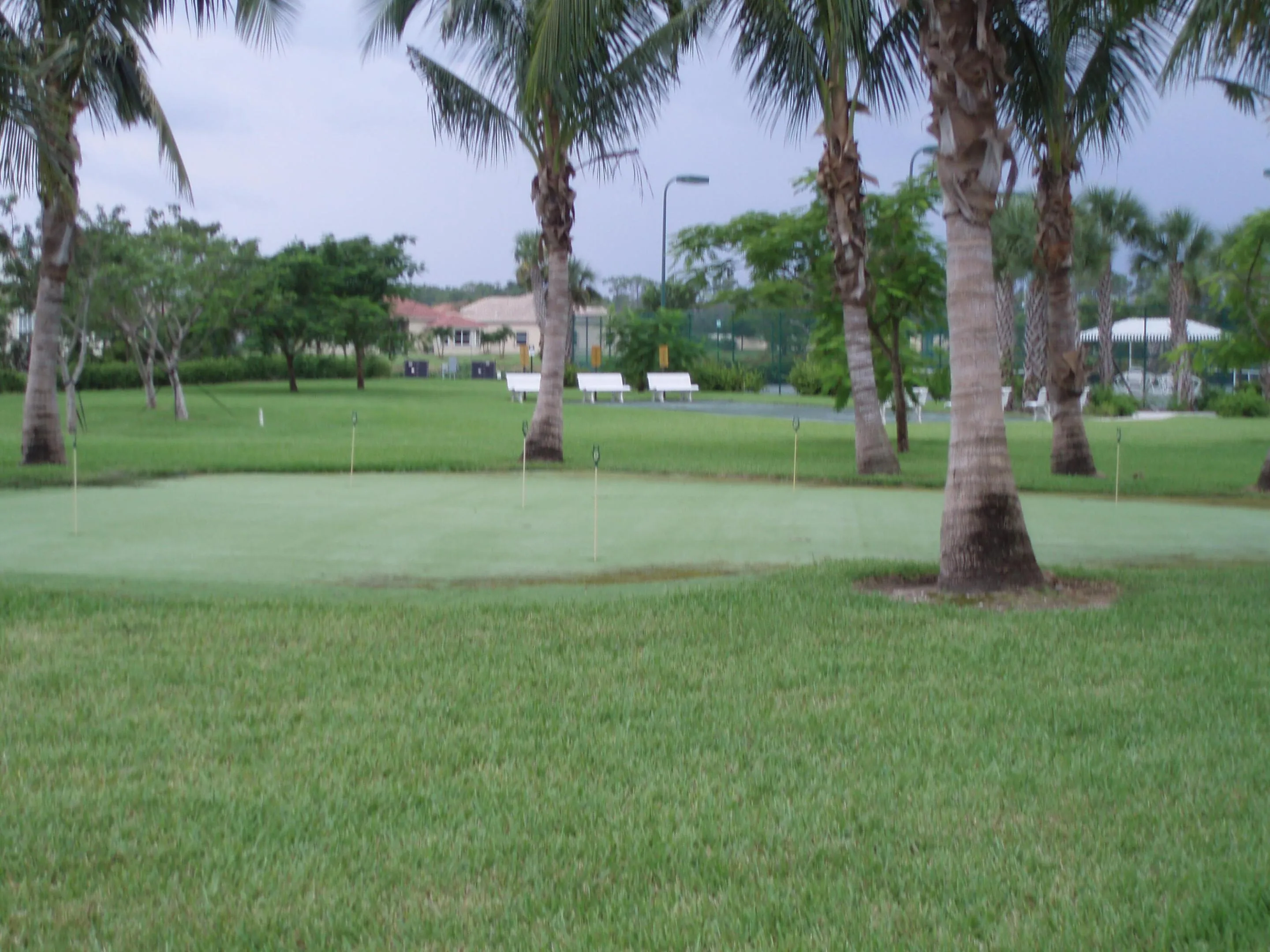 Putting Green