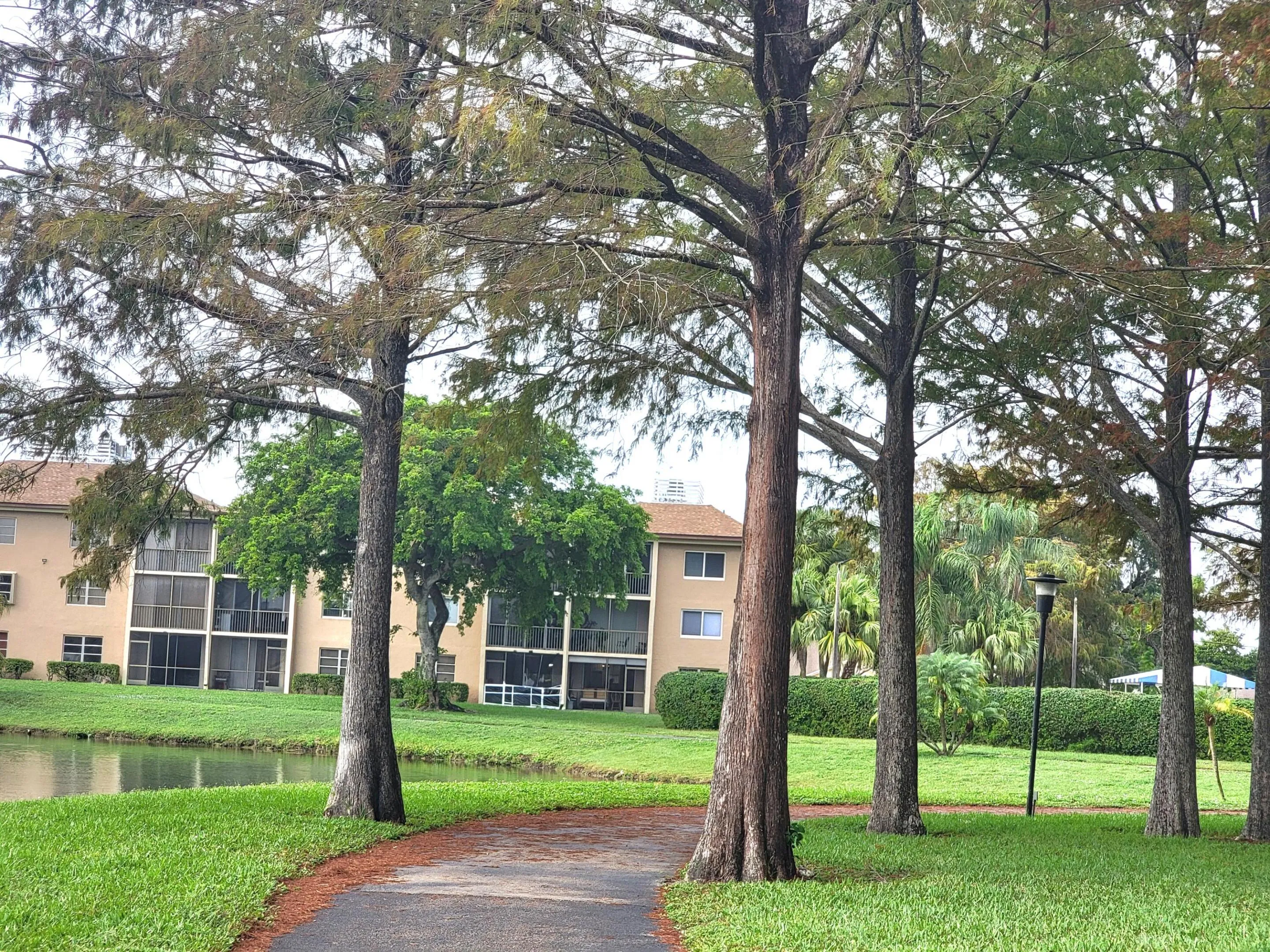 Jogging trail