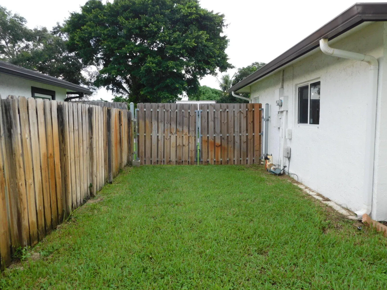 Side Yard