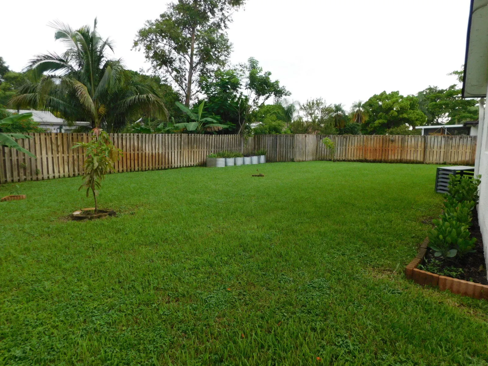 Spacious Back Yard