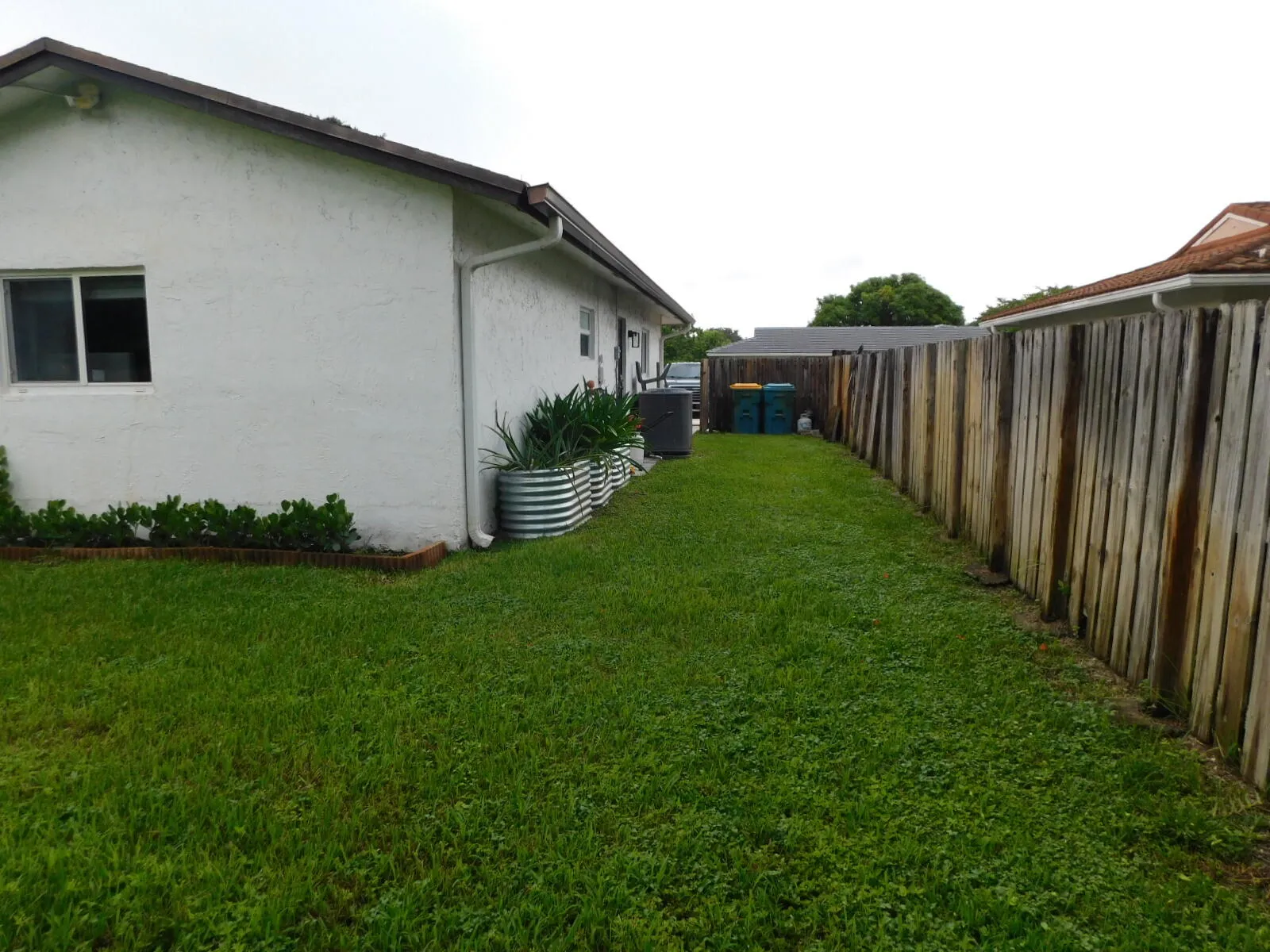 Side Yard