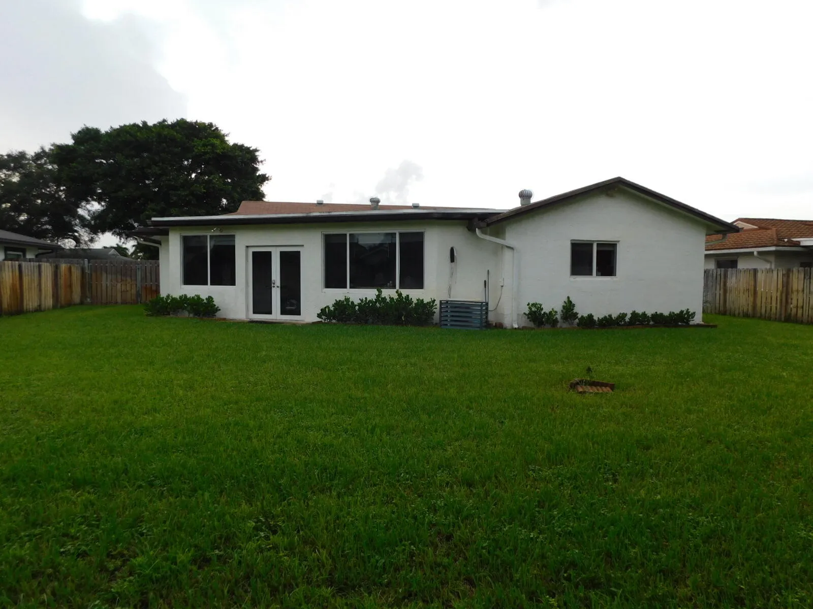 Back yard