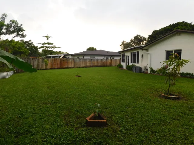 Back Yard