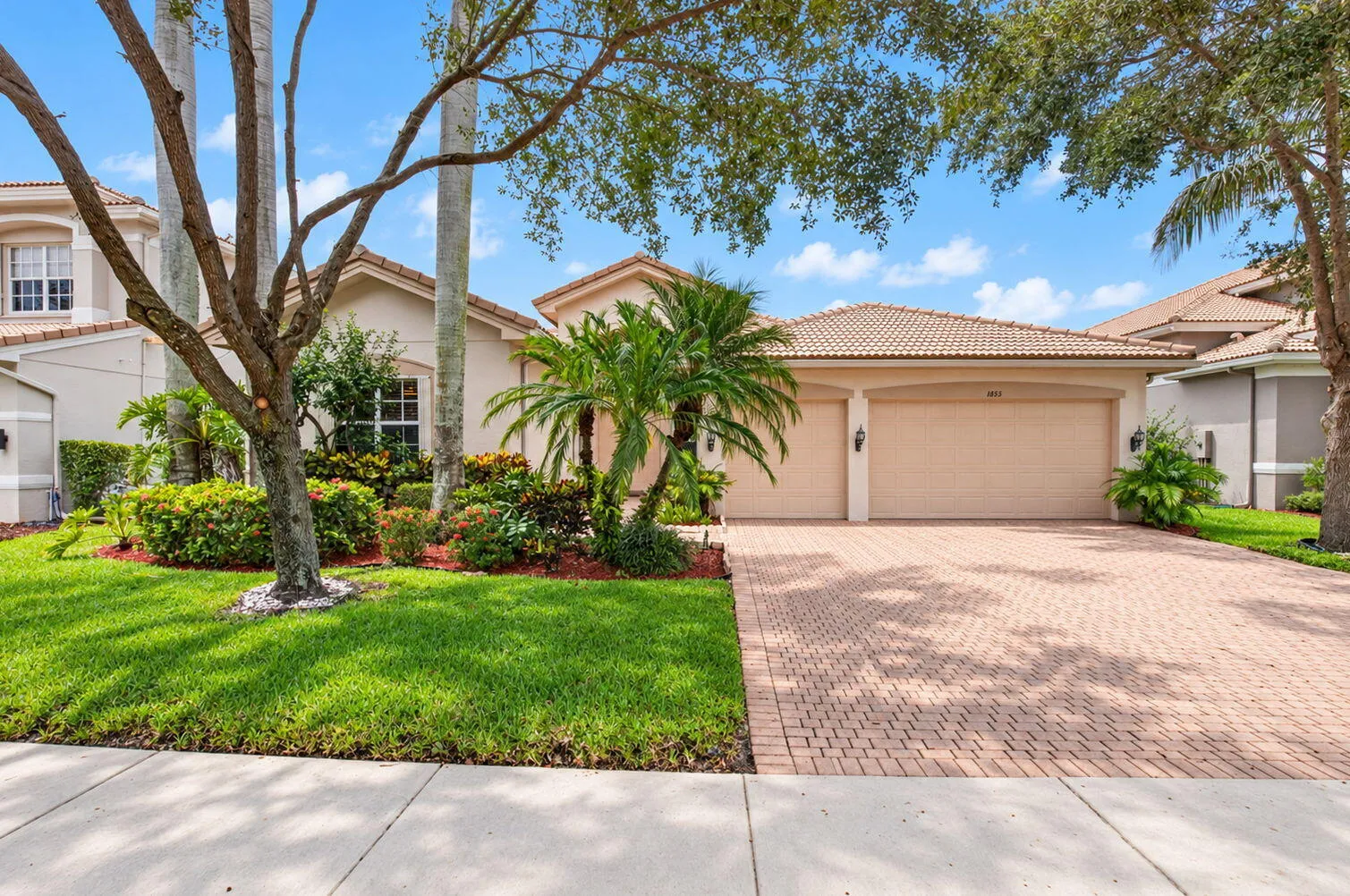 Front Main
