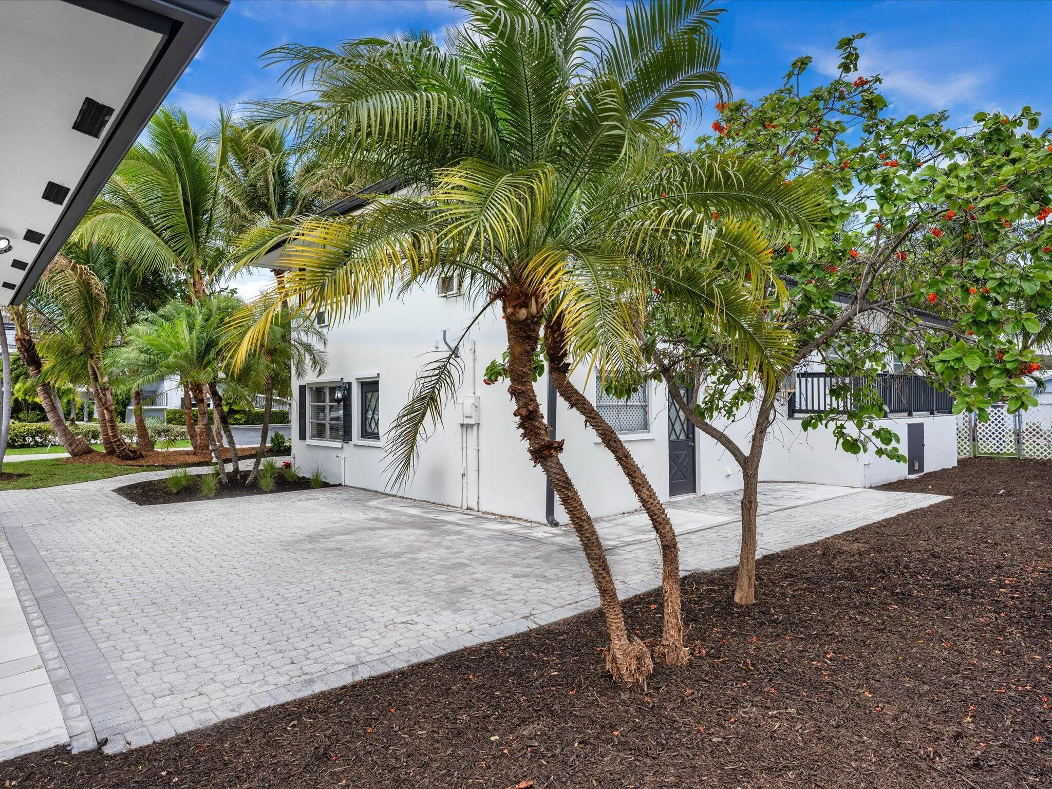 White stucco exterior with multiple mature palm trees