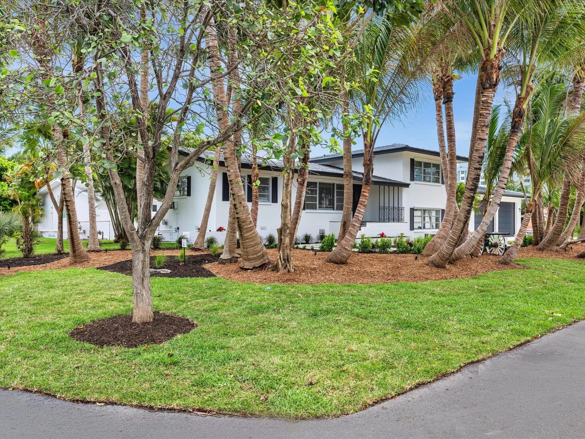 White exterior with black trim, mature palm trees, manicured lawn, and lush landscaping
