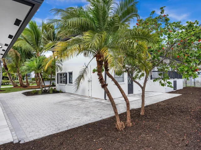 White stucco exterior with multiple mature palm trees