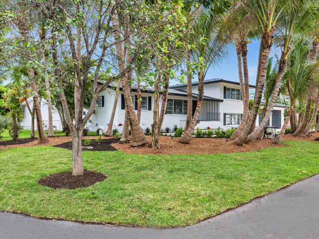White exterior with black trim, mature palm trees, manicured lawn, and lush landscaping