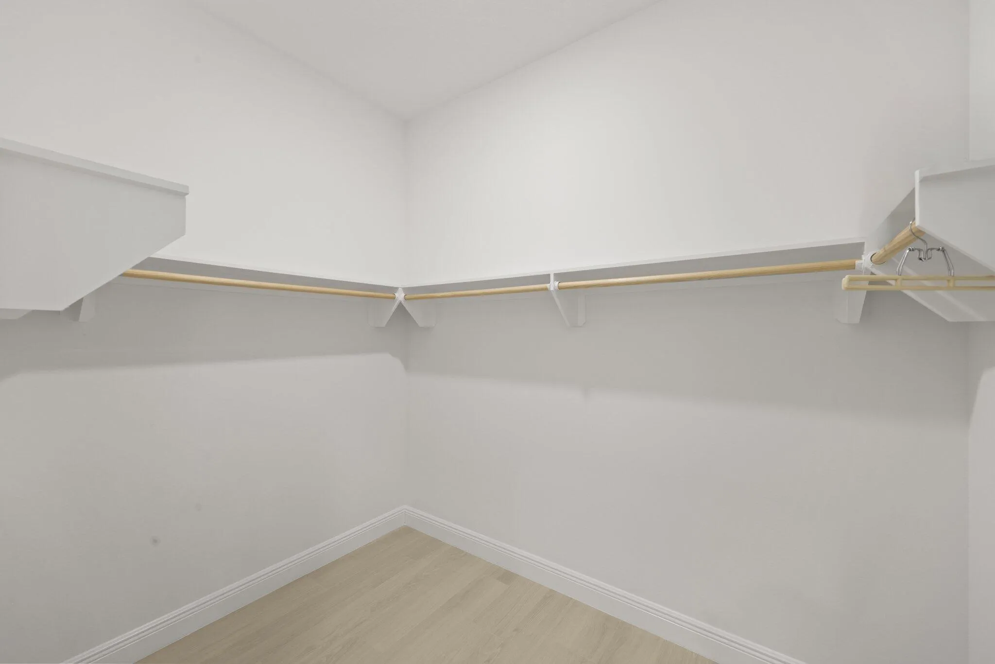 Primary Bedroom Closet #1