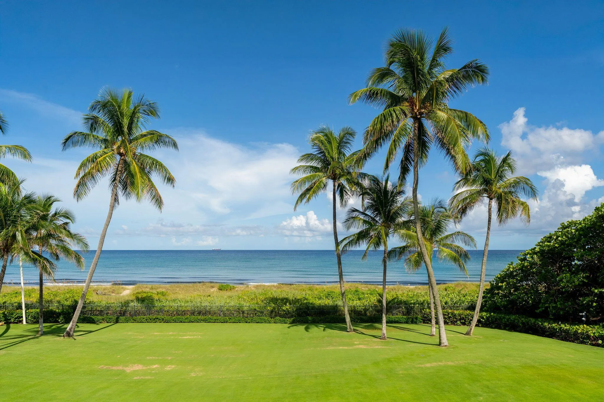 Ocean side lawn