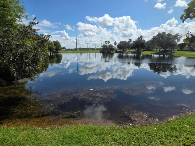 pond