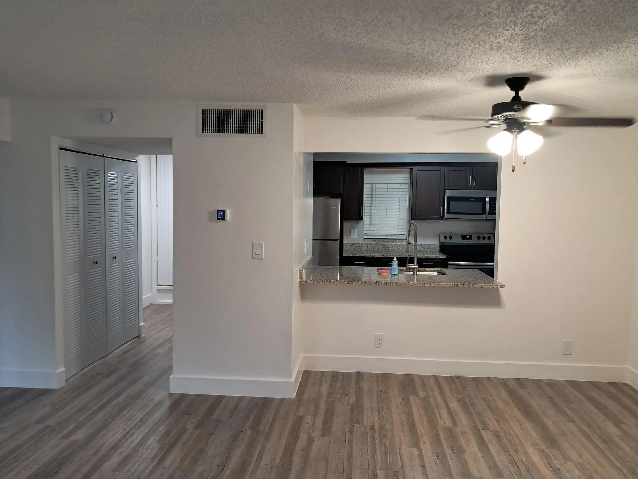 Entrance/kitchen/livingroom vew