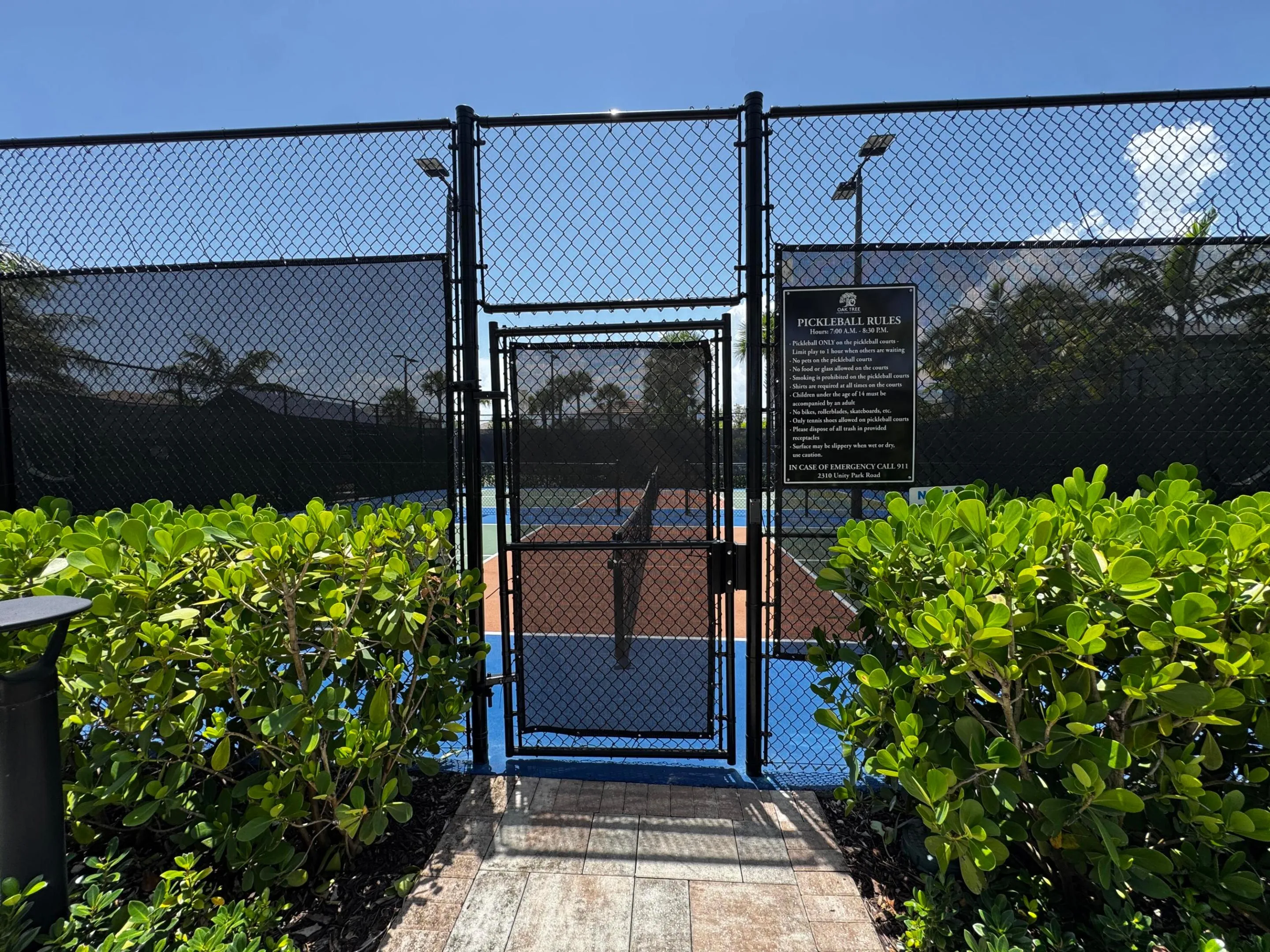 Pickle Ball