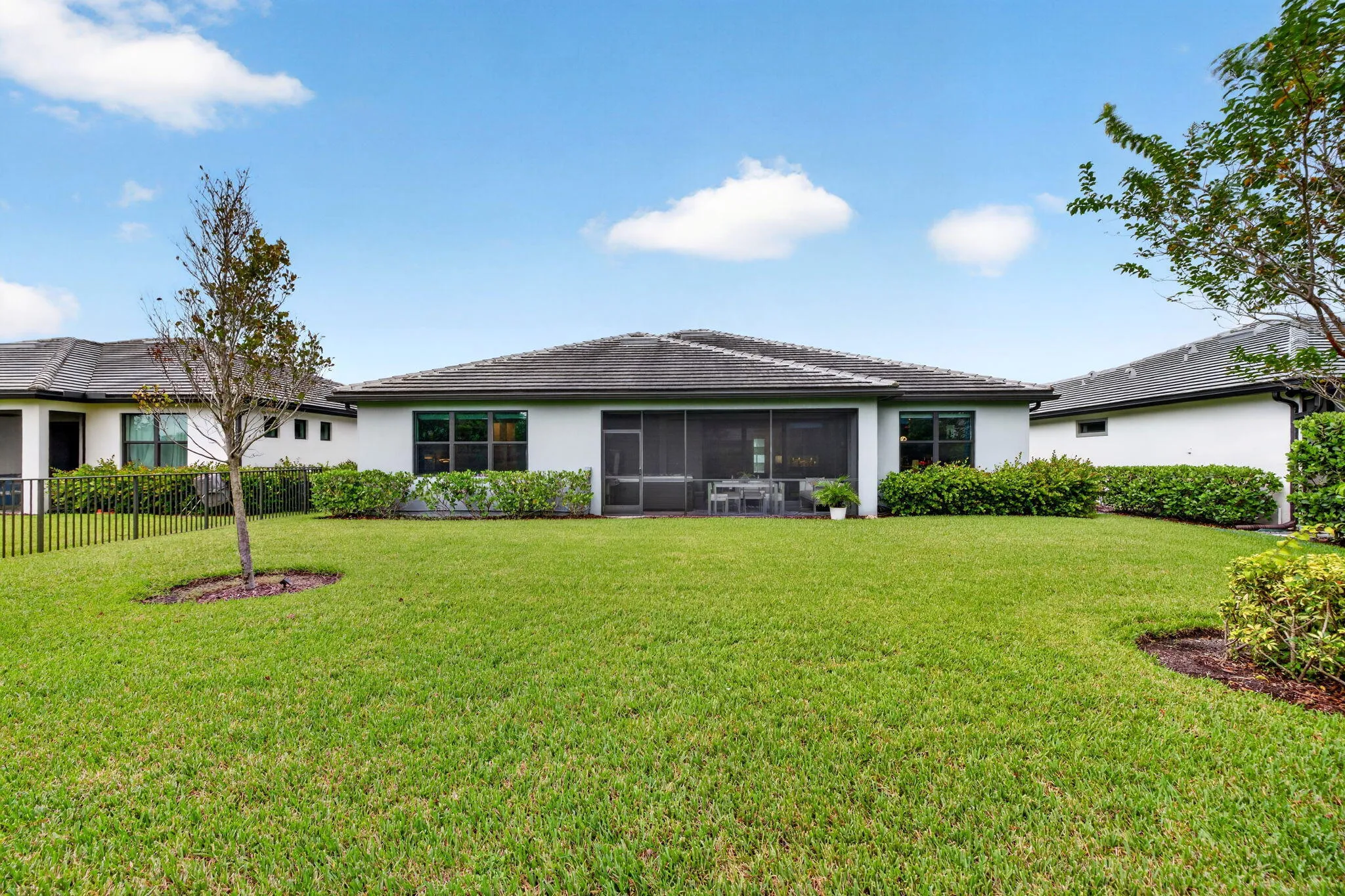 54-web-or-mls-699A6138