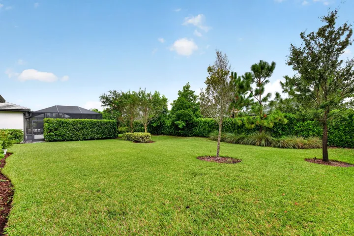 56-web-or-mls-699A6153