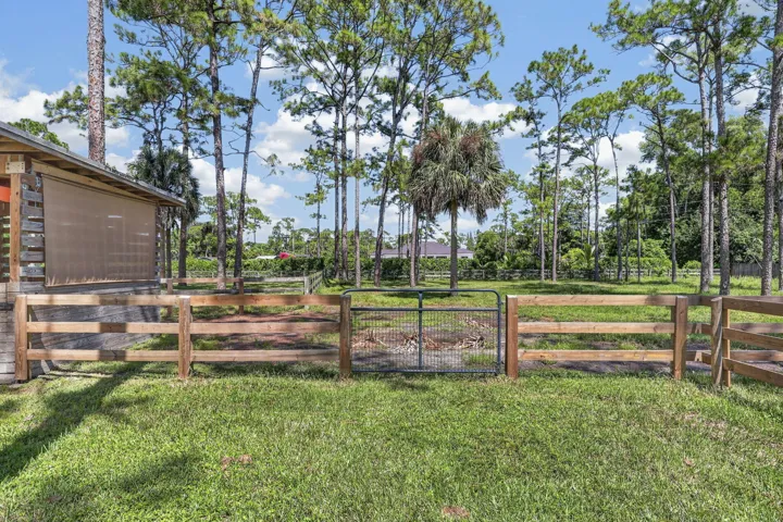75-web-or-mls-BS1A4867