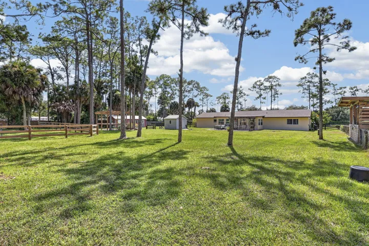 71-web-or-mls-BS1A4846