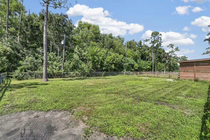 66-web-or-mls-BS1A4821