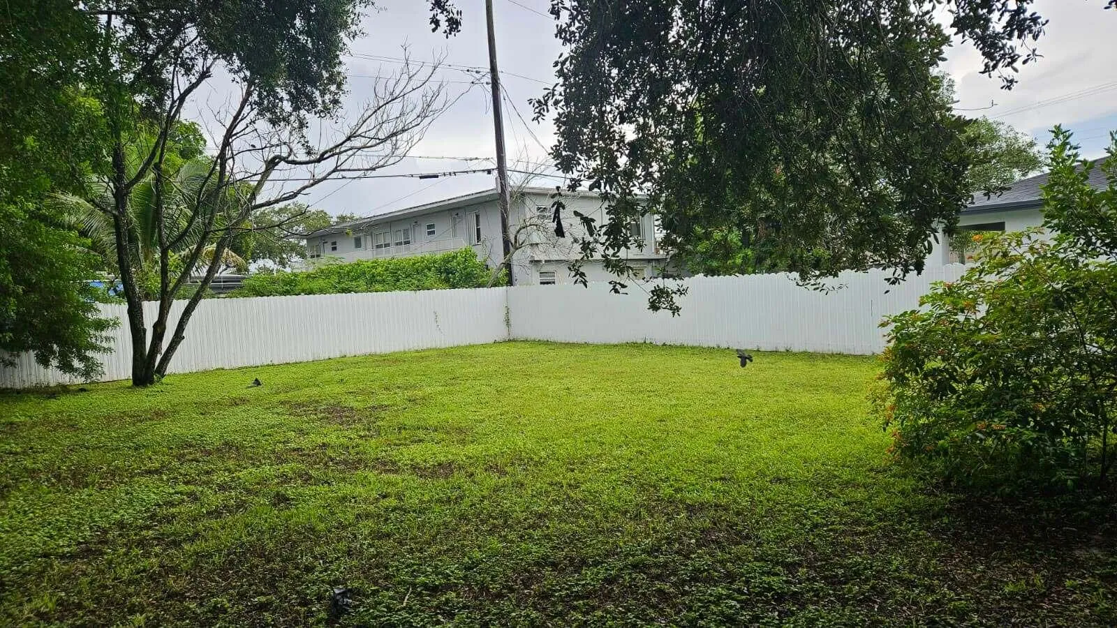 Backyard & patio