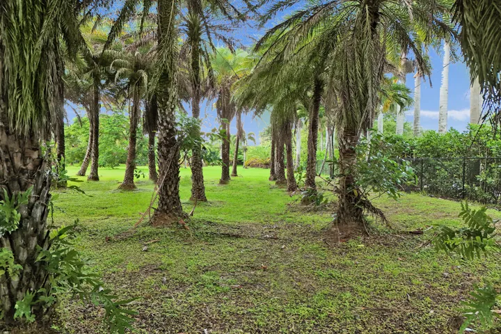 DJI_20260910150240_0295_D