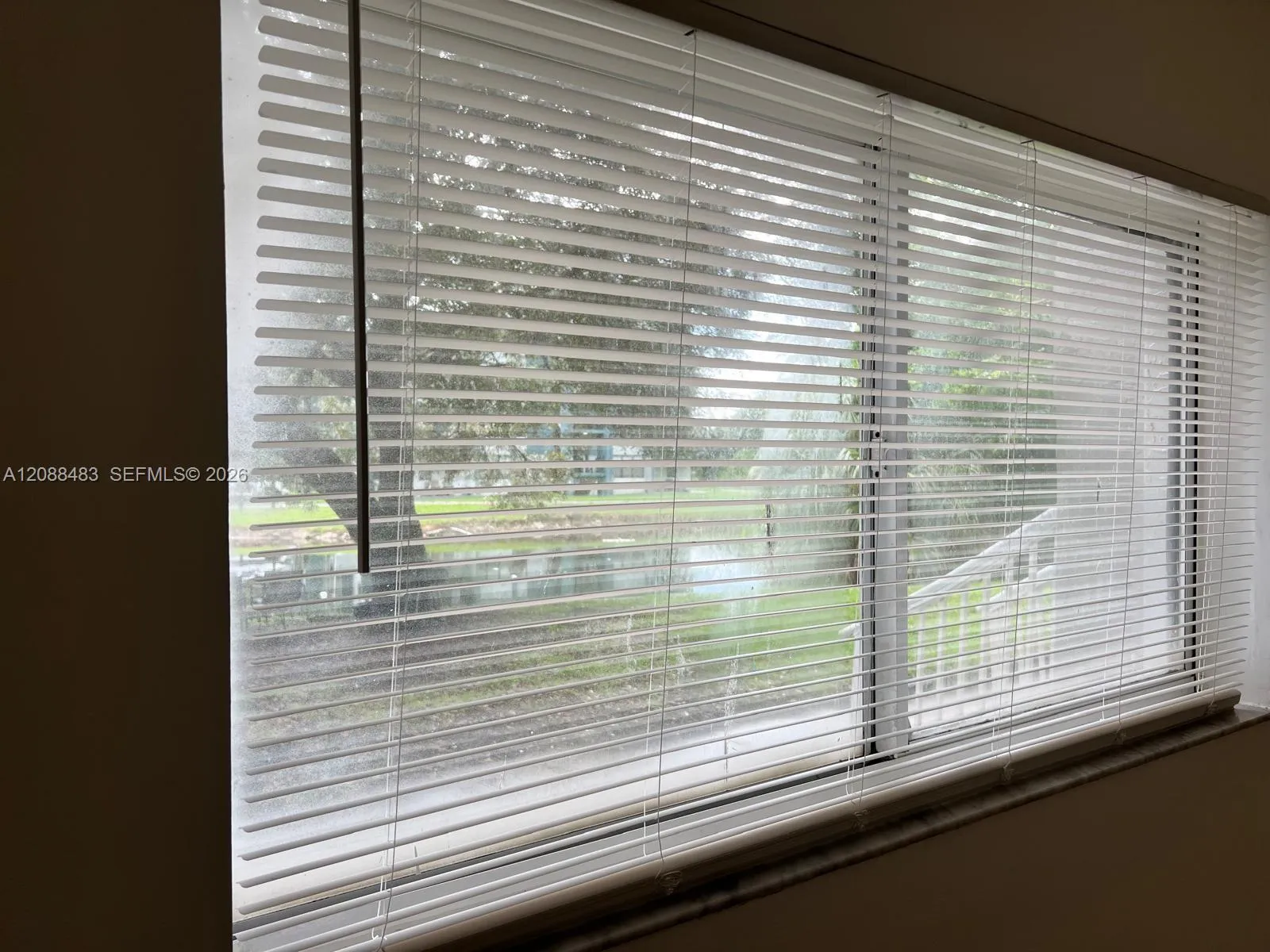 View From Living Room