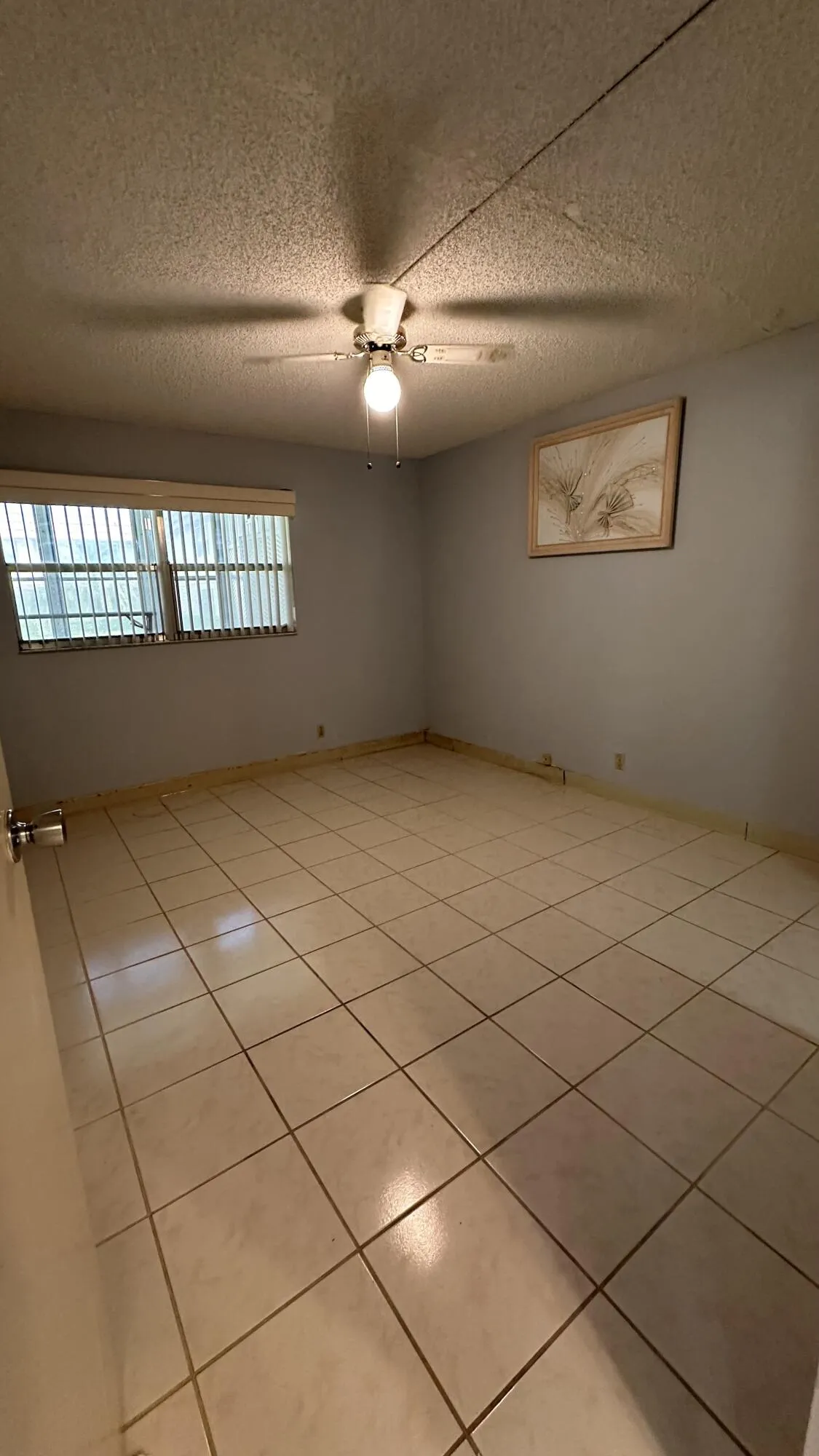IMG_8348