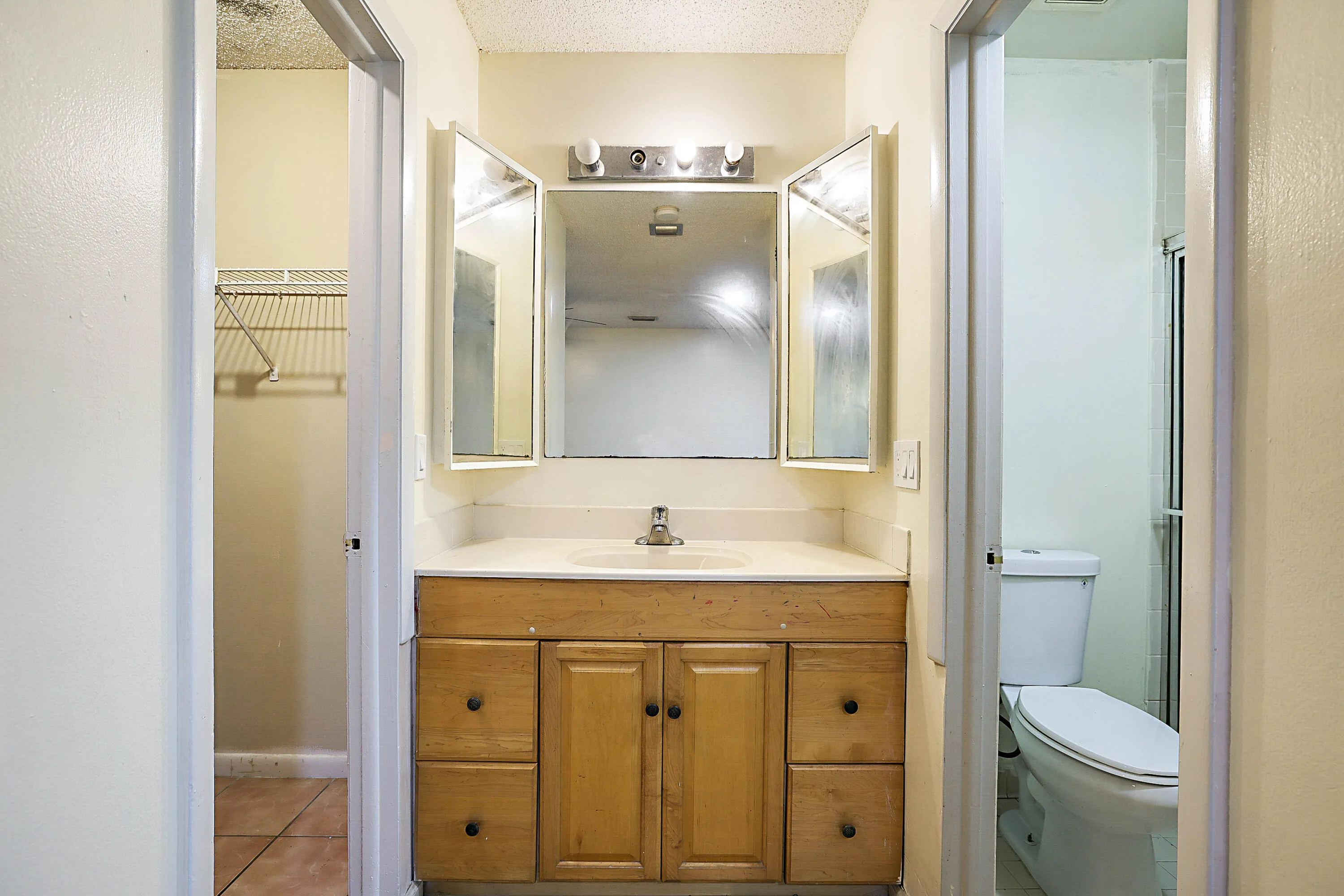 2780 Norfolk Pine Ct -18