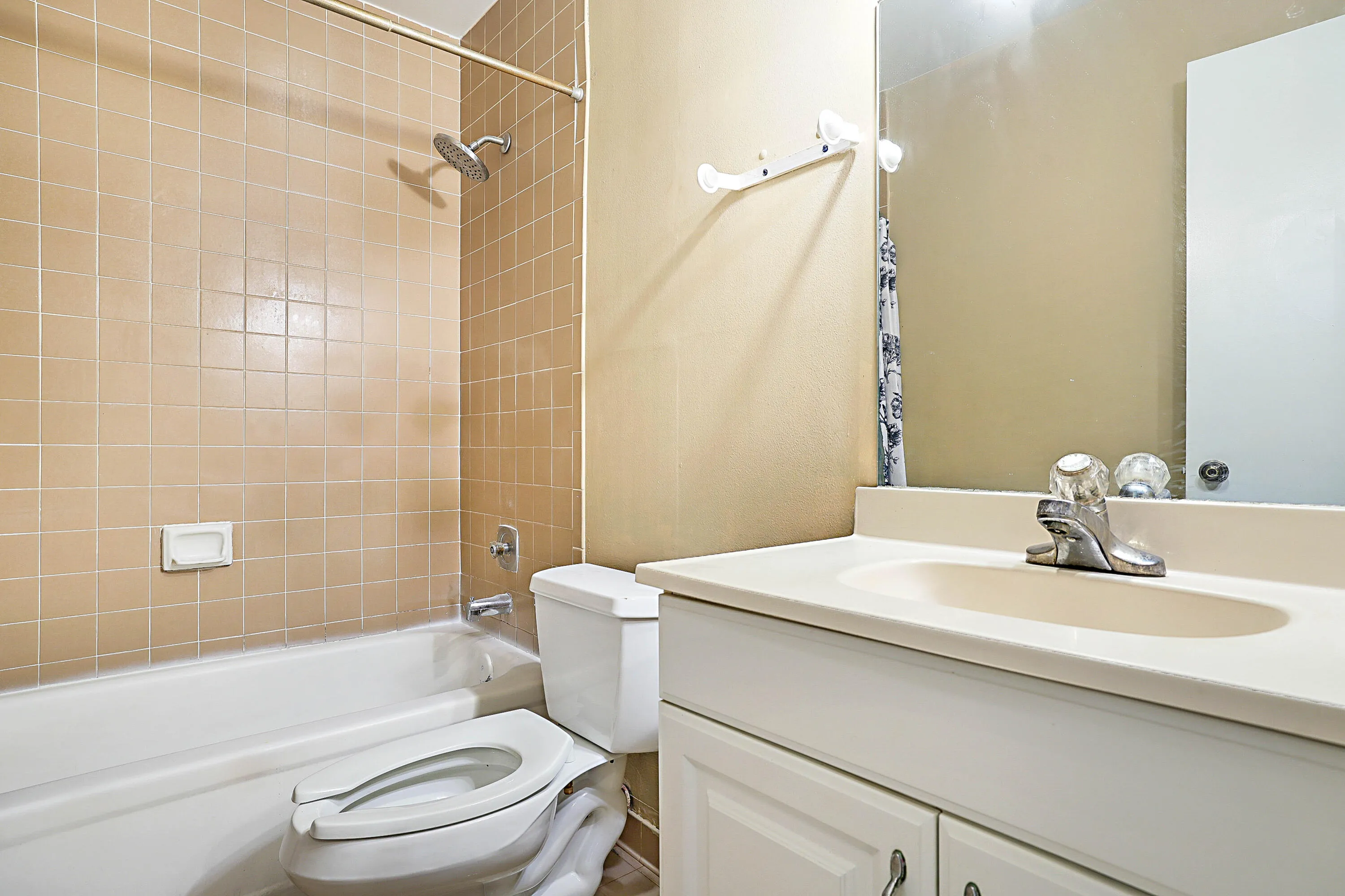 2780 Norfolk Pine Ct -22
