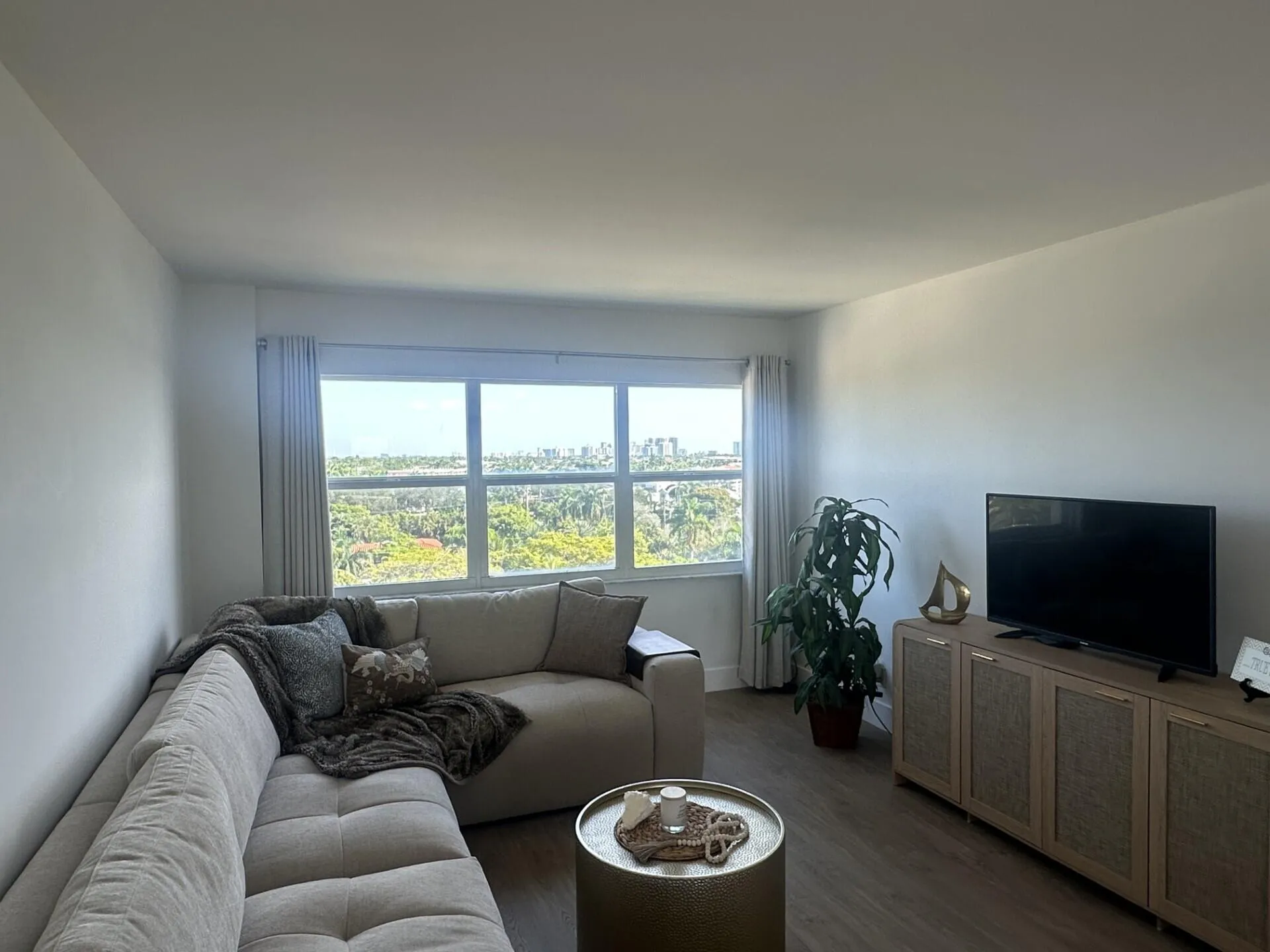Living Room View