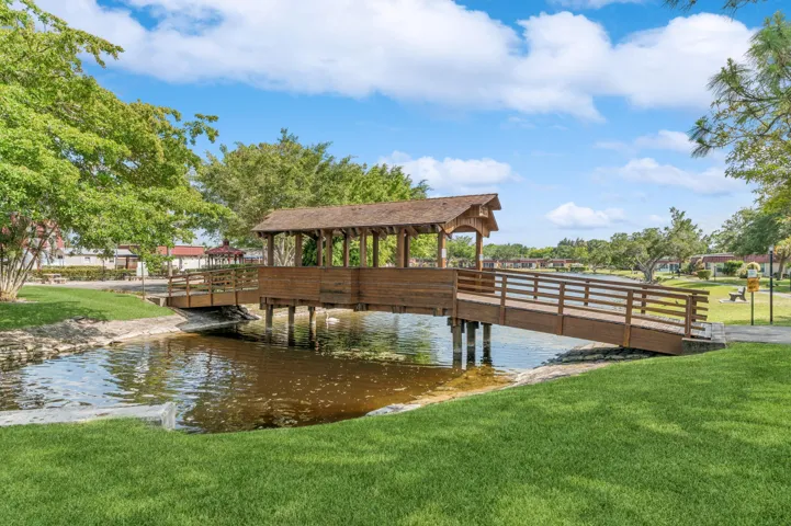 The Bridge