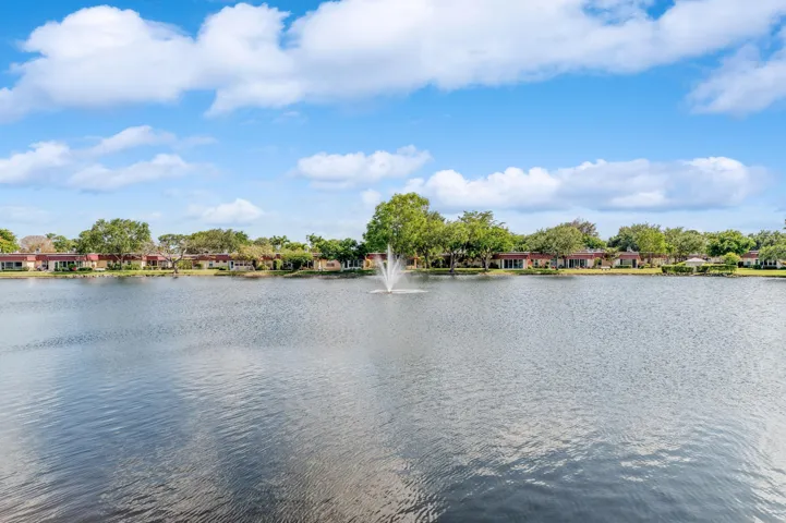Tranquil Lake View