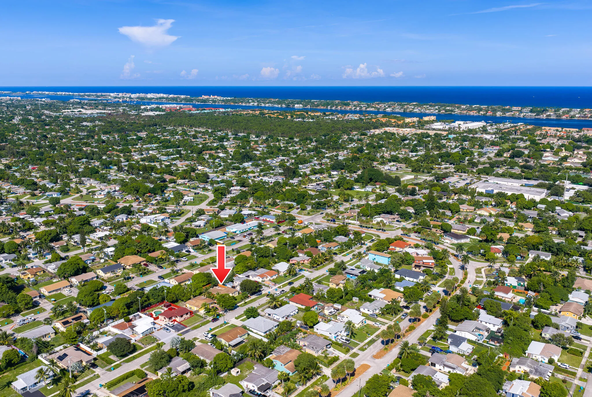 Coastal proximity with a dense residential setting, abundant mature trees, and a clear blue sky