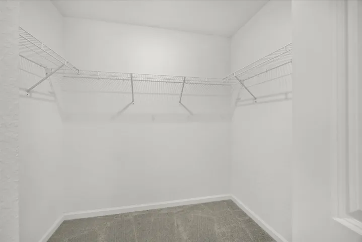 Walk-in closet with wire shelving and plush carpeting