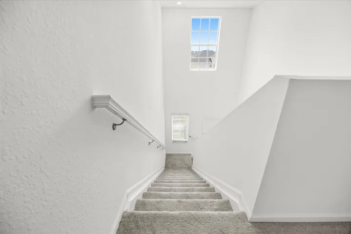 Carpeted staircase with wall-mounted handrail and upper-level window
