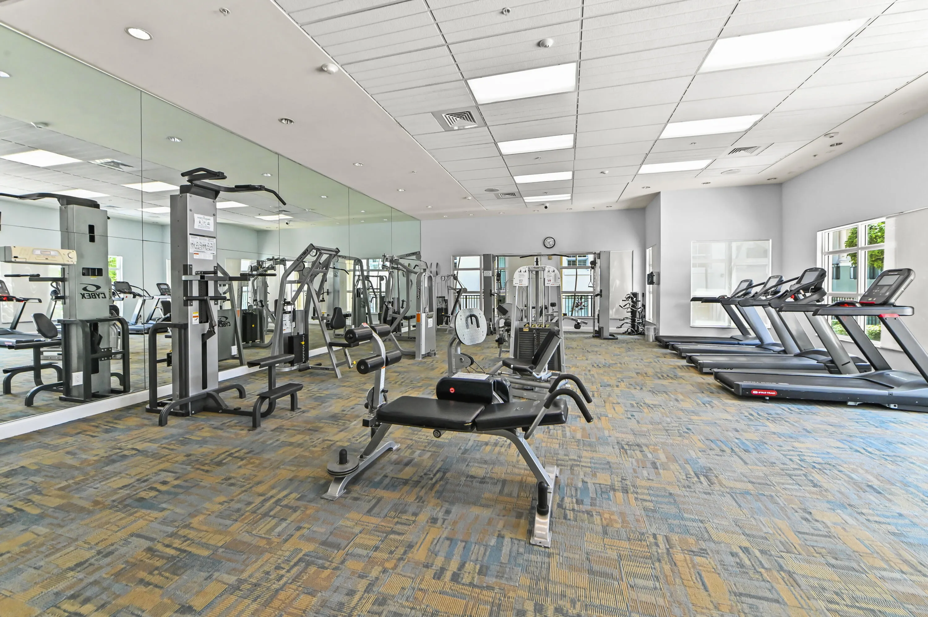 35 Gym 02
