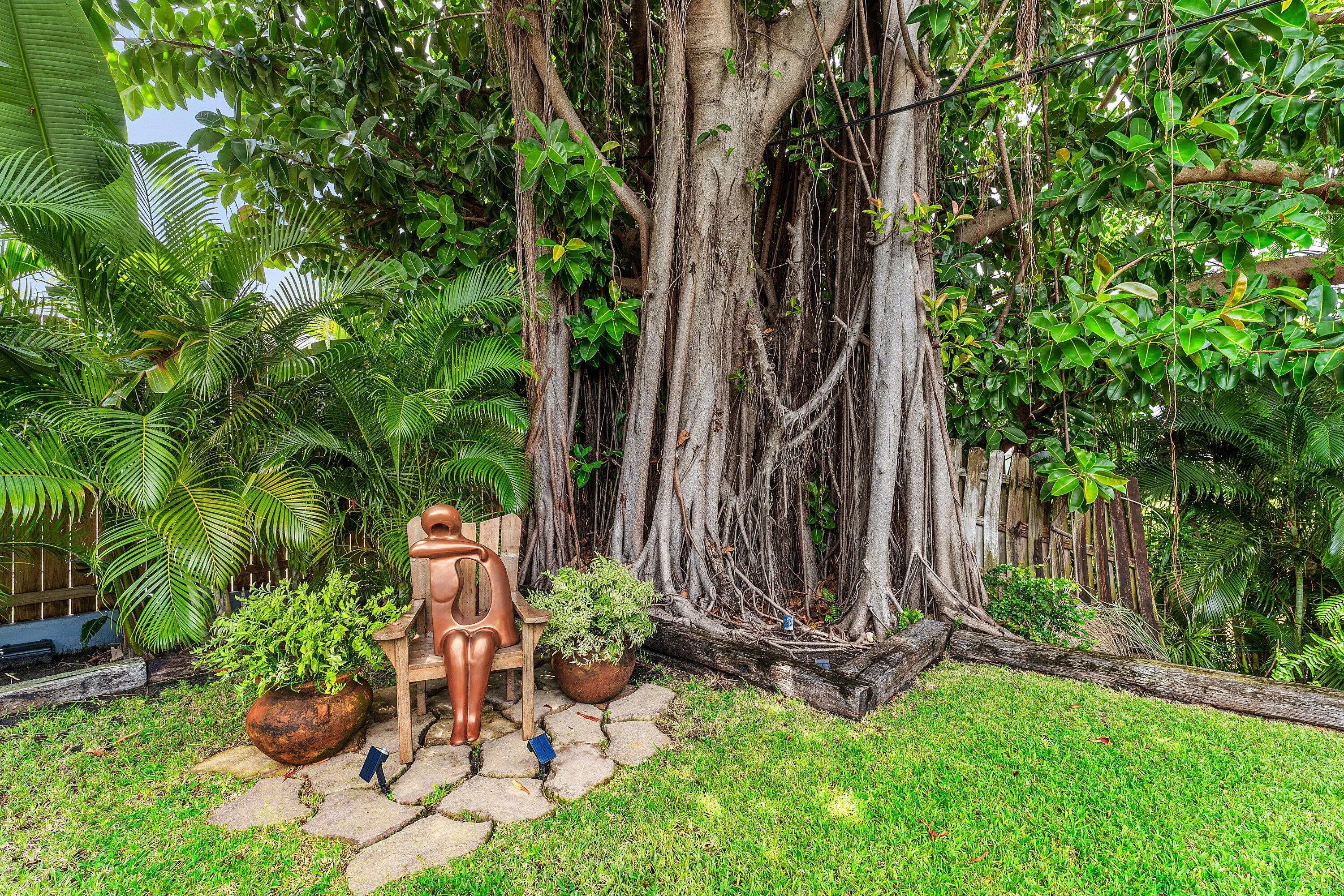 Backyard