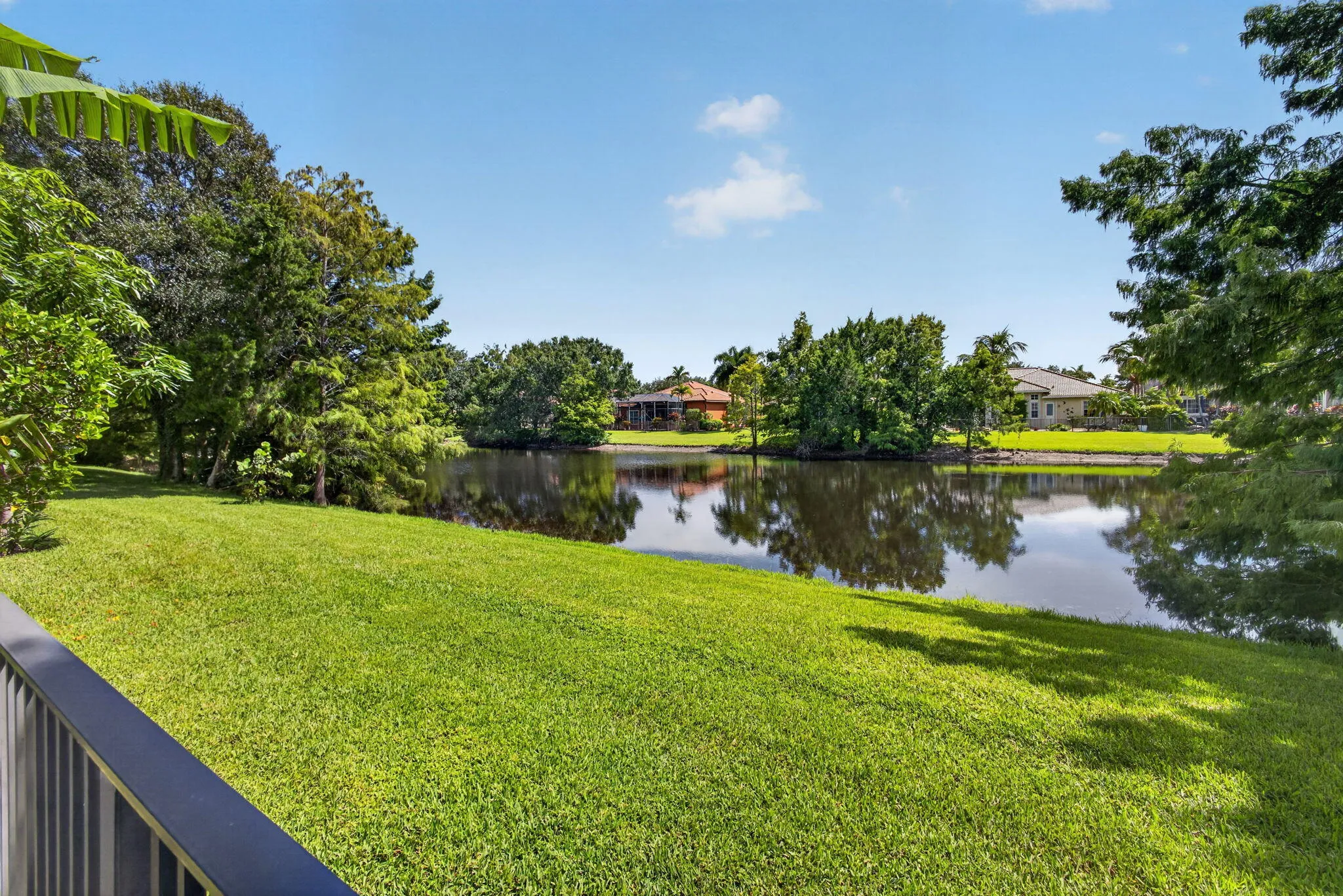 86-web-or-mls-5D1A8528