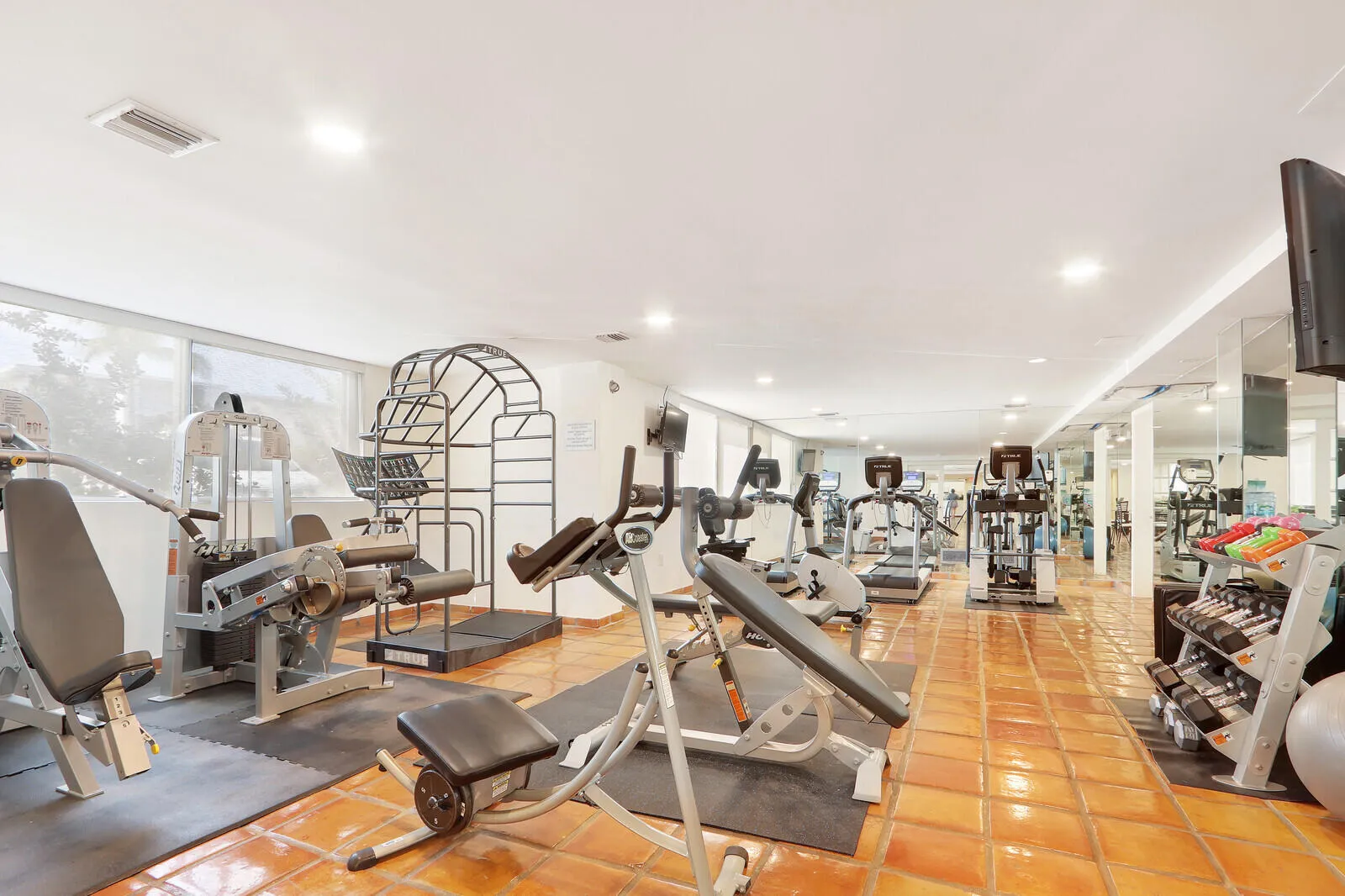 Gym