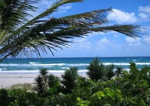 Beach Photo 3