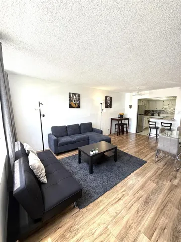 Living and Kitchen View