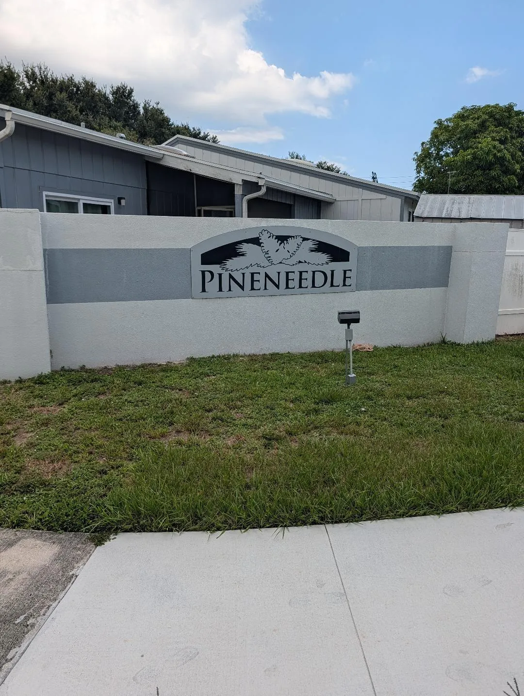 pineneedle