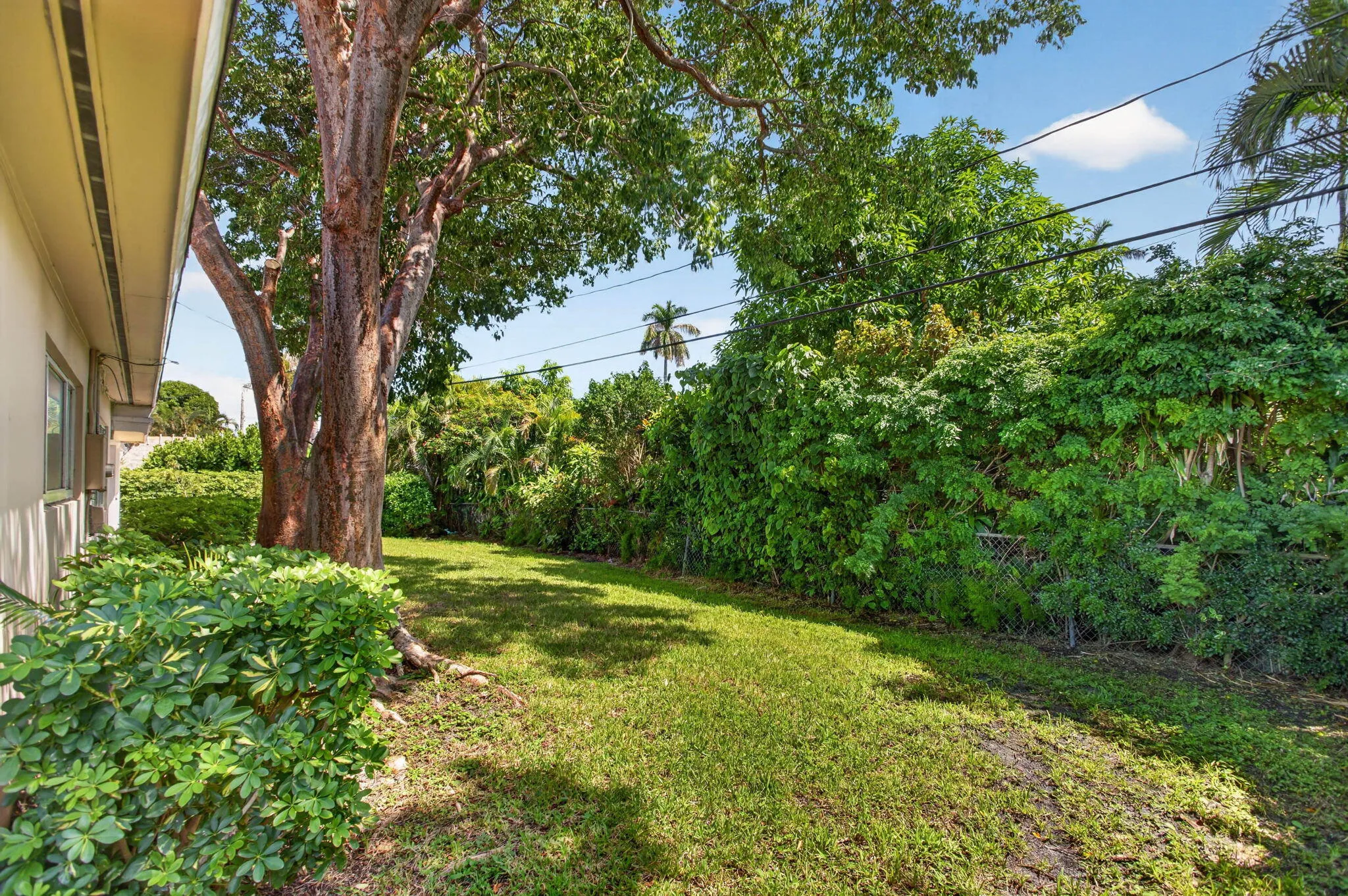 IMG_1618