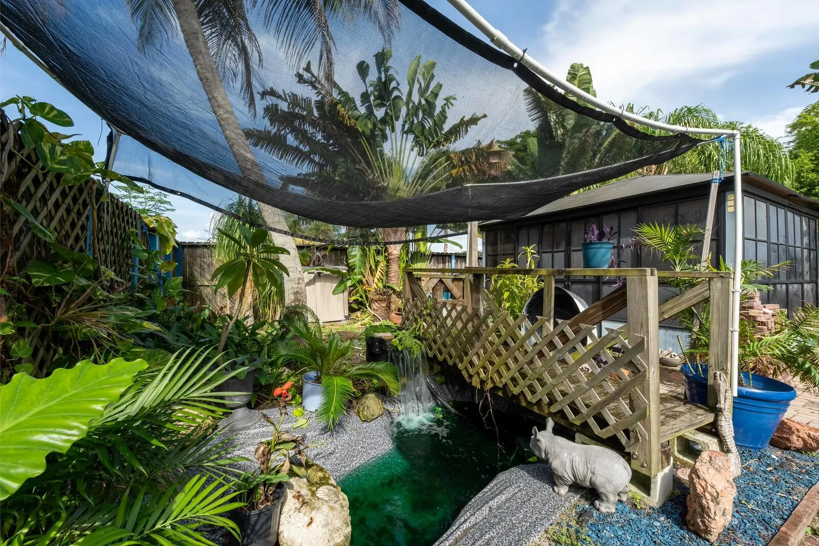 backyard