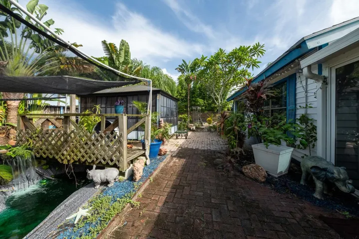 backyard 1