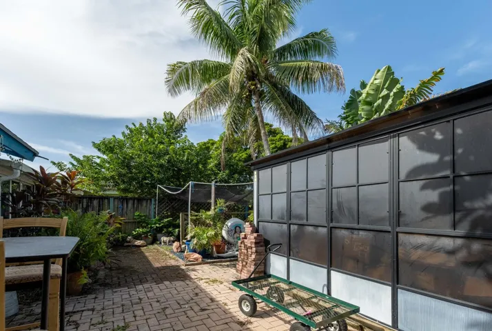 backyard 2